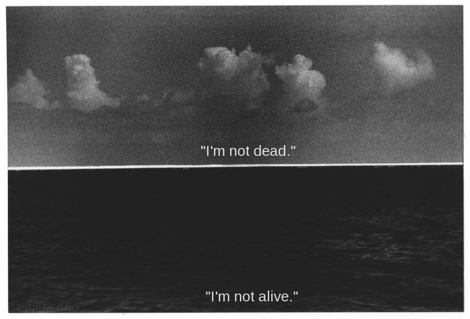 Archillect ID 346685