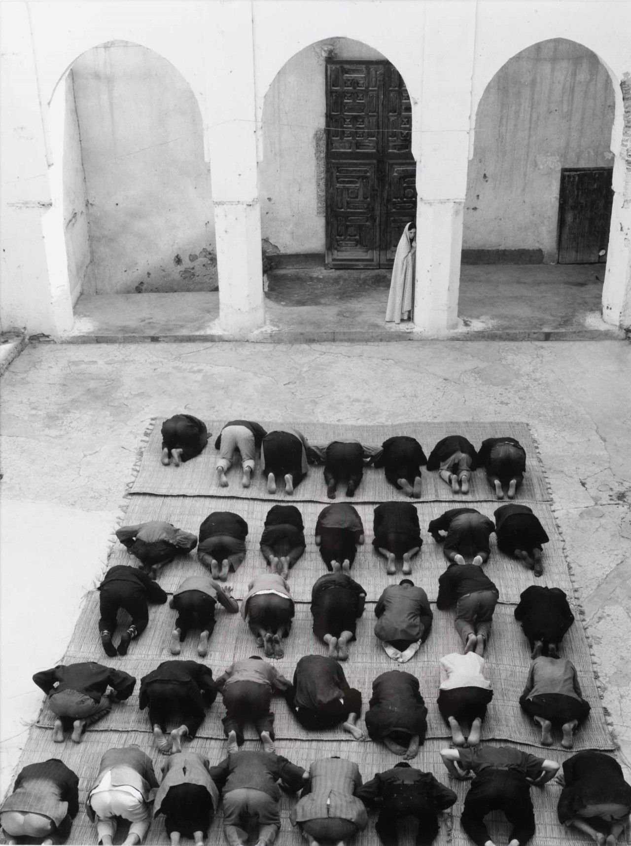 Archillect ID 347204