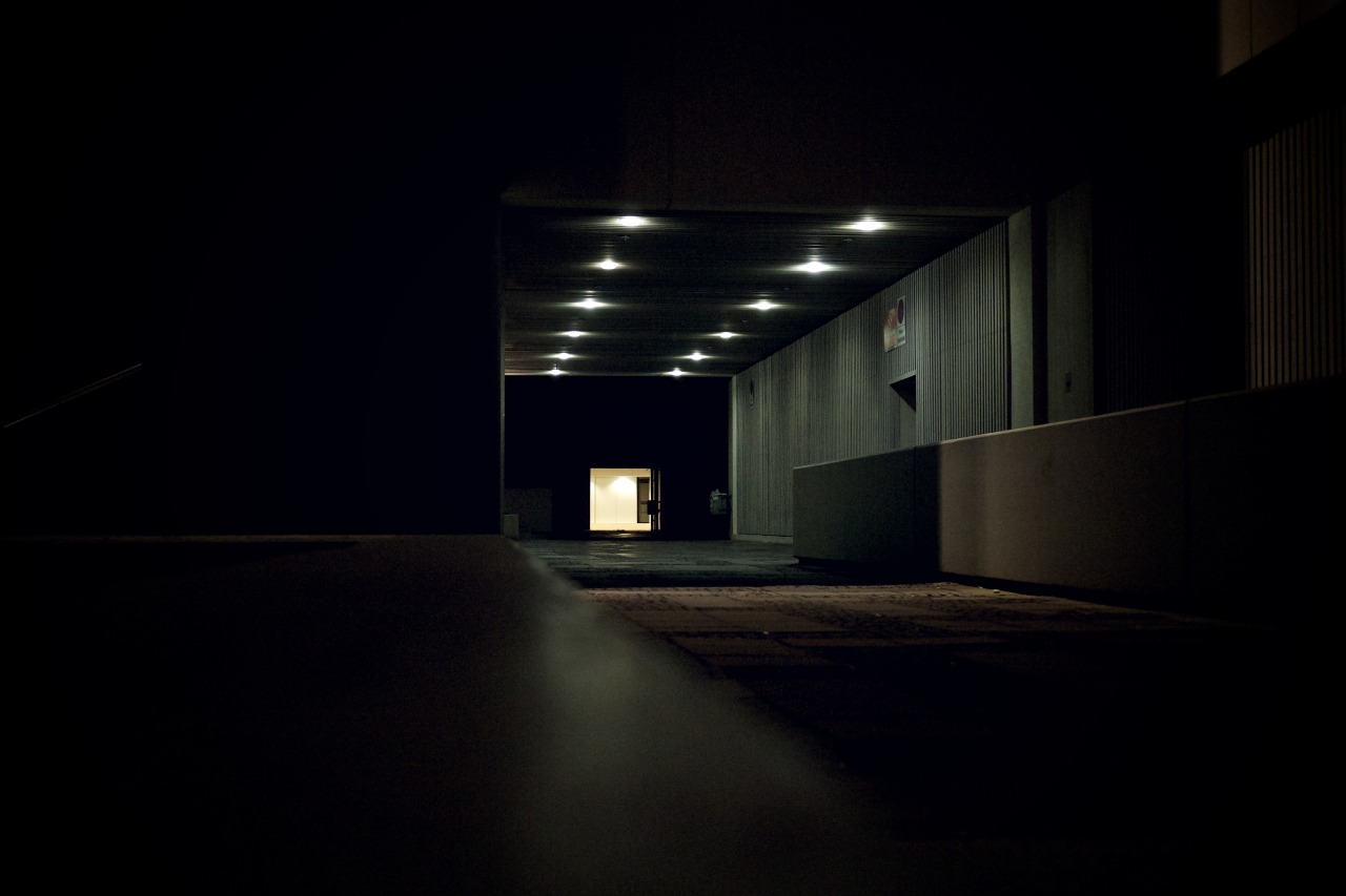 Archillect ID 347398