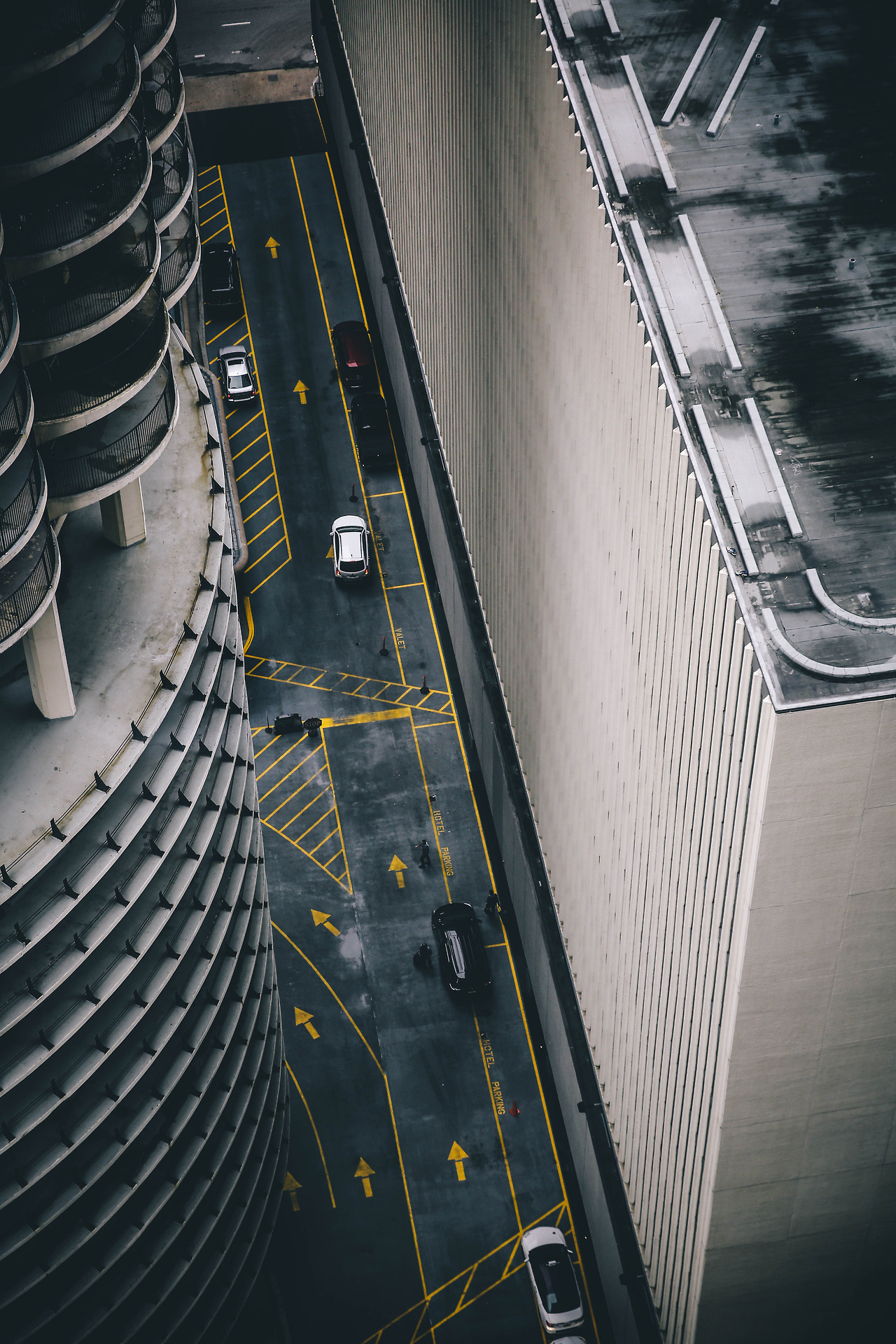 Archillect ID 347702