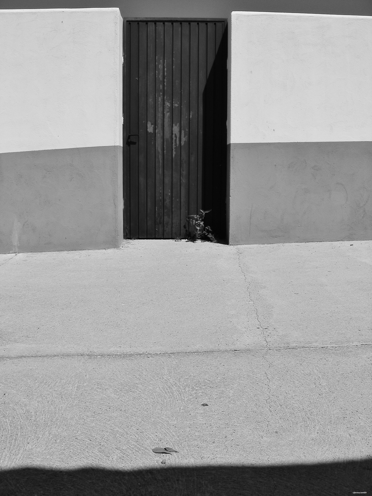 Archillect ID 348964