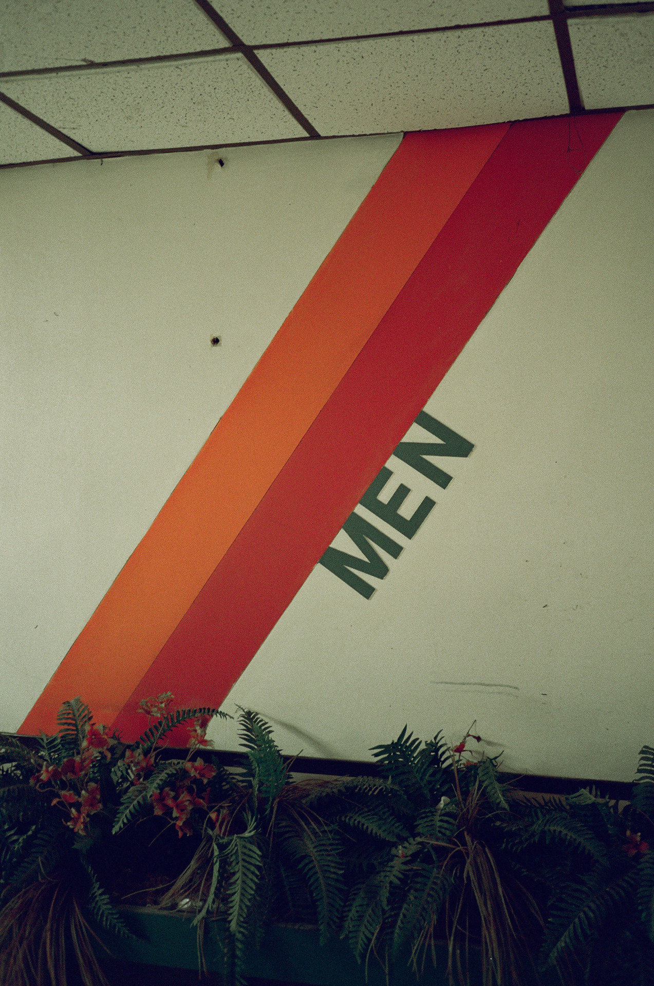 Archillect ID 349035
