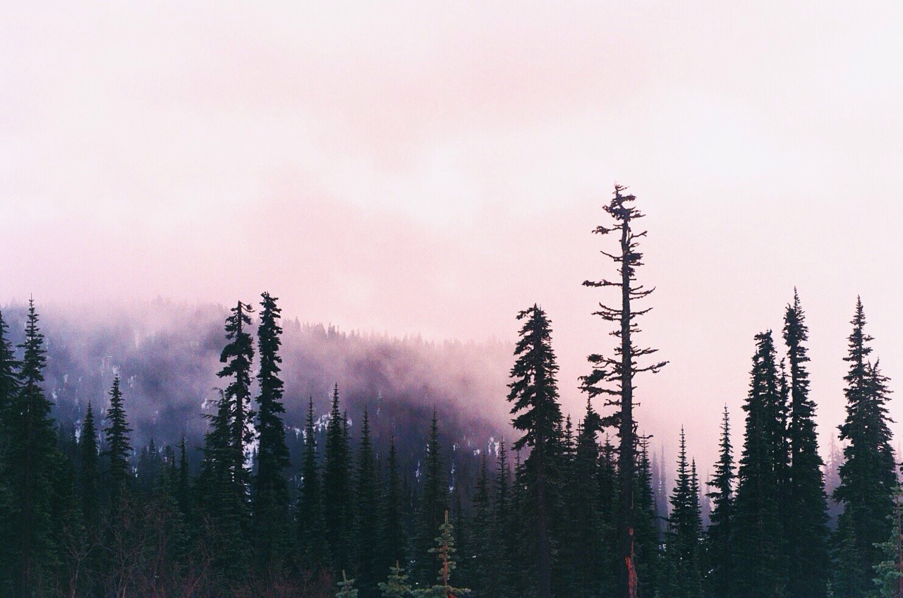 Archillect ID 349045