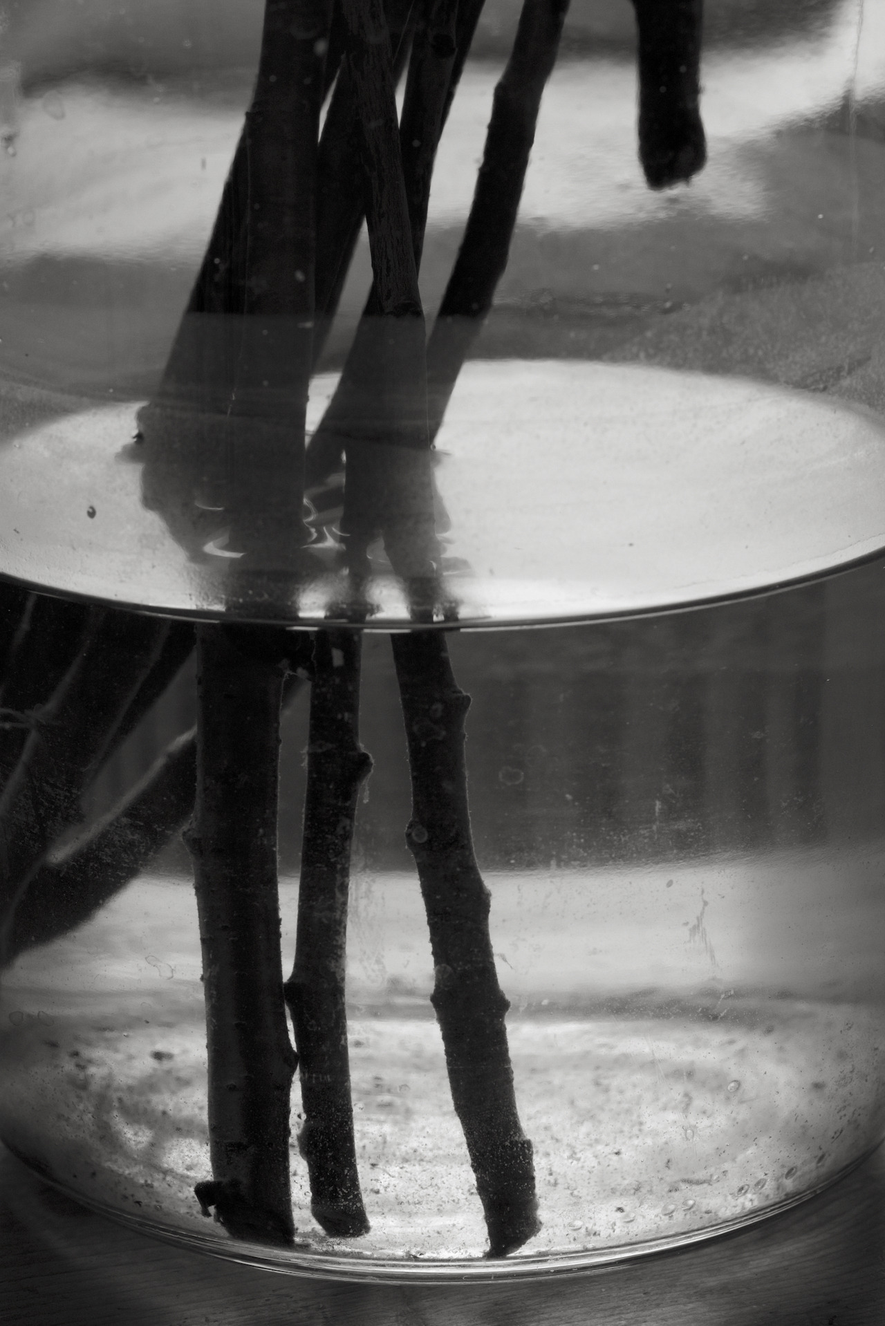 Archillect ID 349077