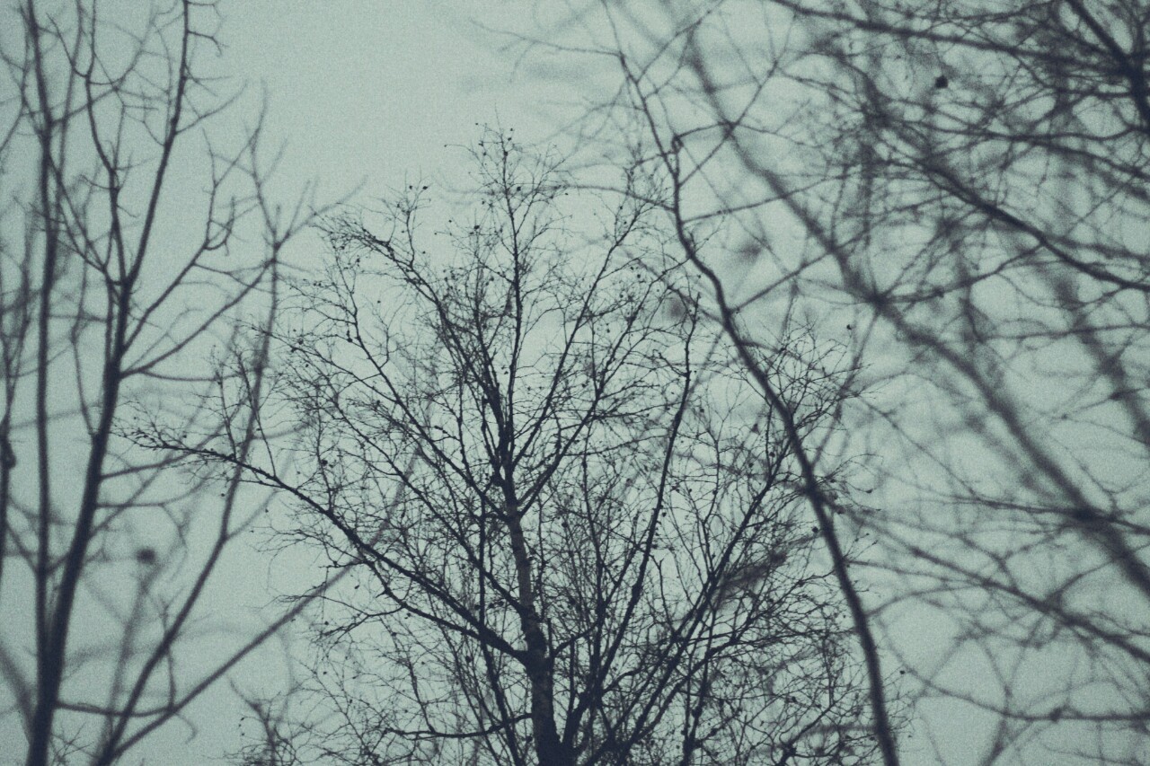 Archillect ID 349351