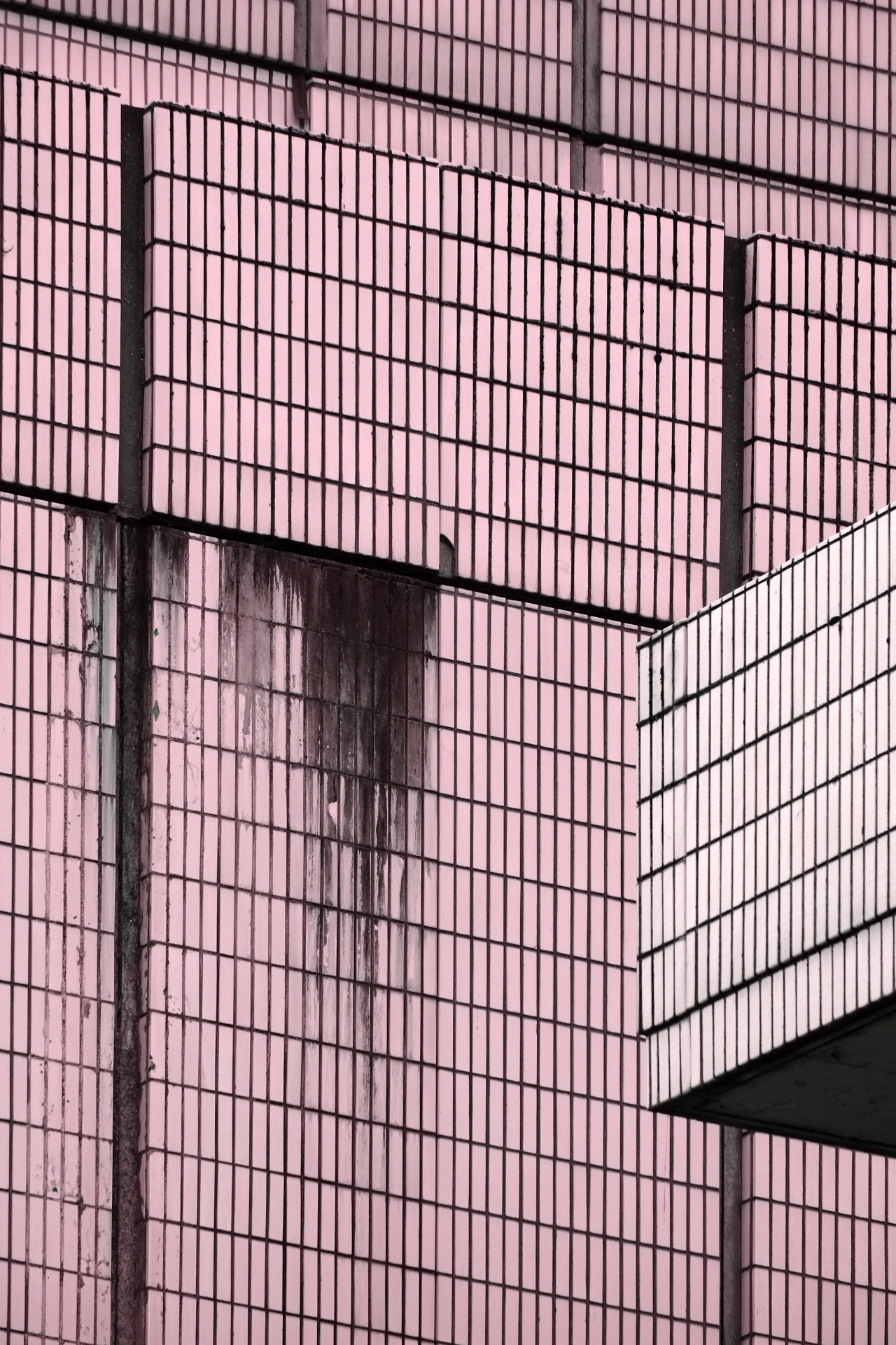 Archillect ID 349866