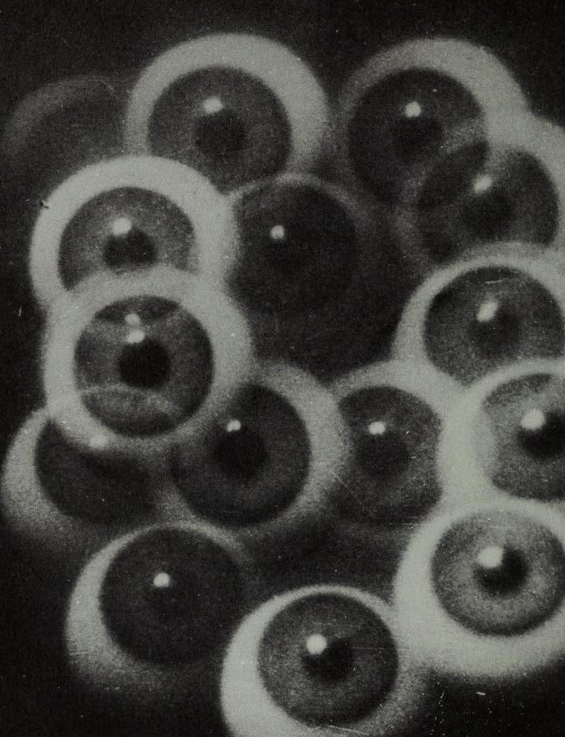 Archillect ID 349927