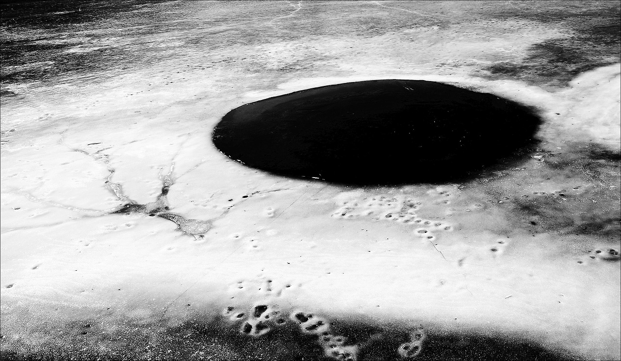 Archillect ID 349981