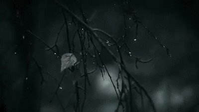 Archillect ID 350194