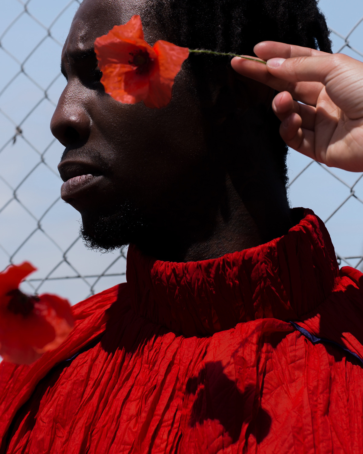 Archillect ID 350239