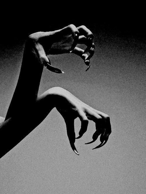 Archillect ID 350284