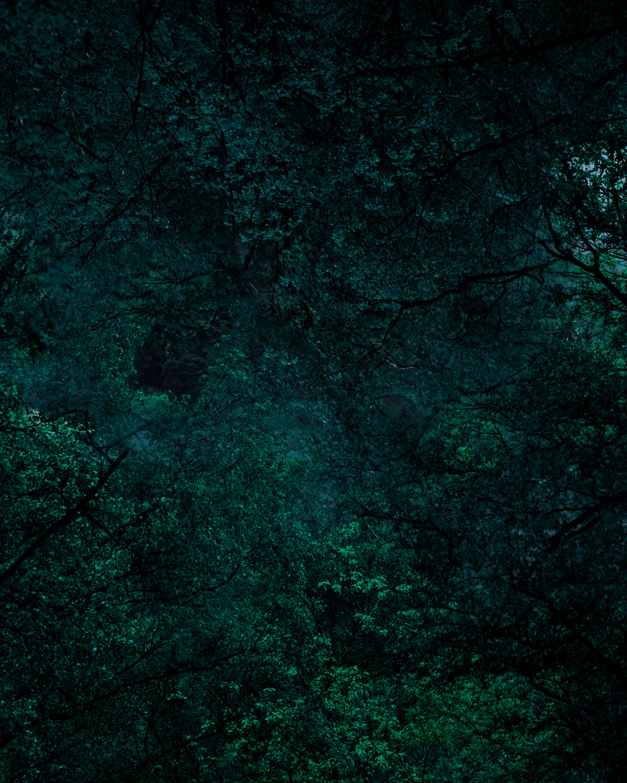 Archillect ID 350288