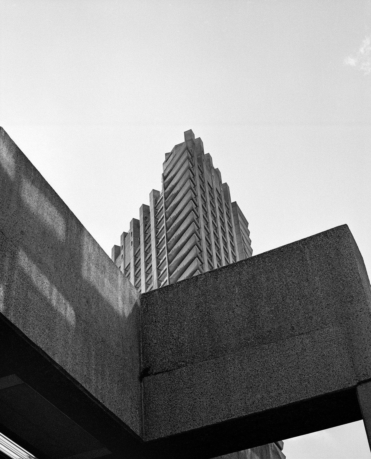 Archillect ID 350339