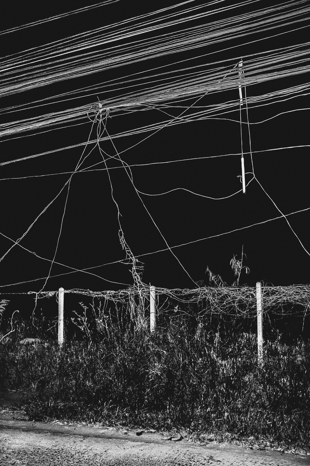 Archillect ID 350871