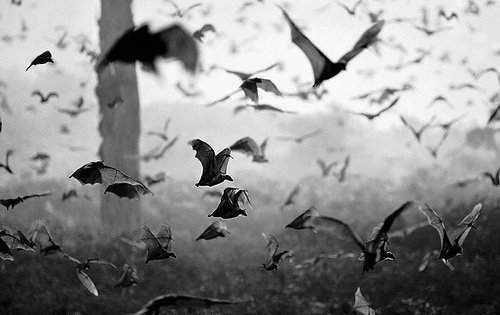 Archillect ID 351022
