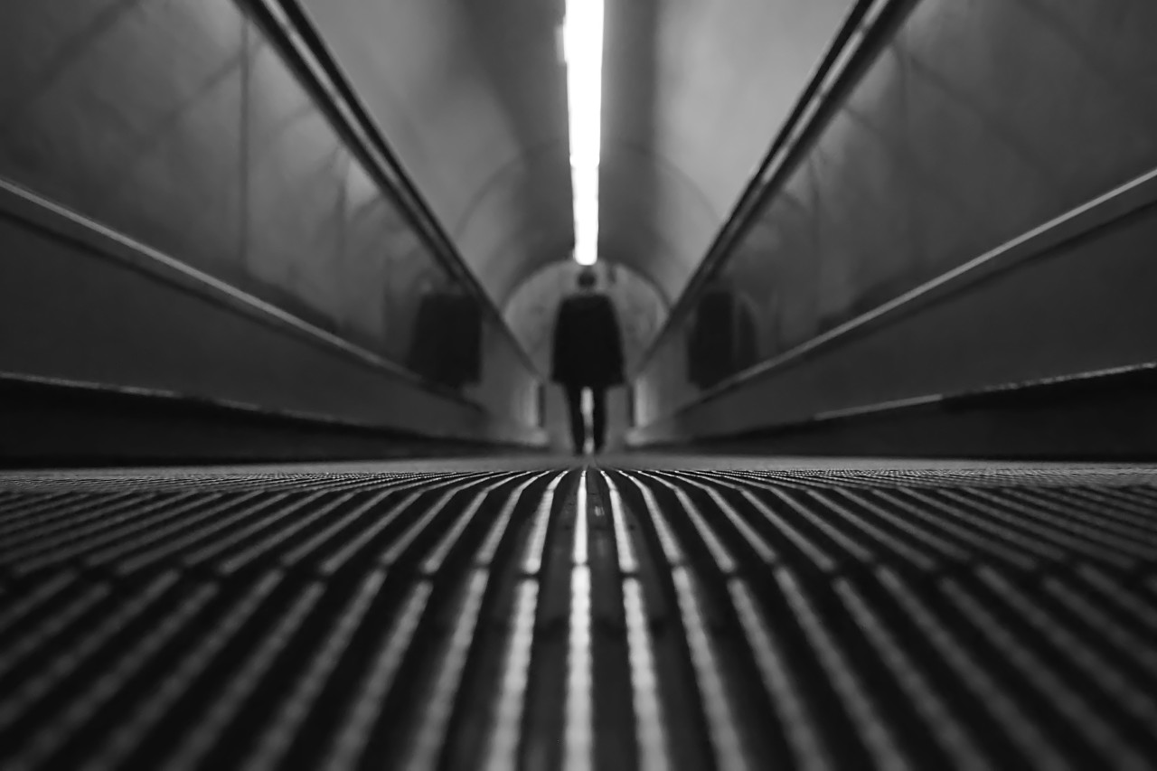 Archillect ID 351301