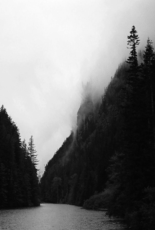 Archillect ID 351540
