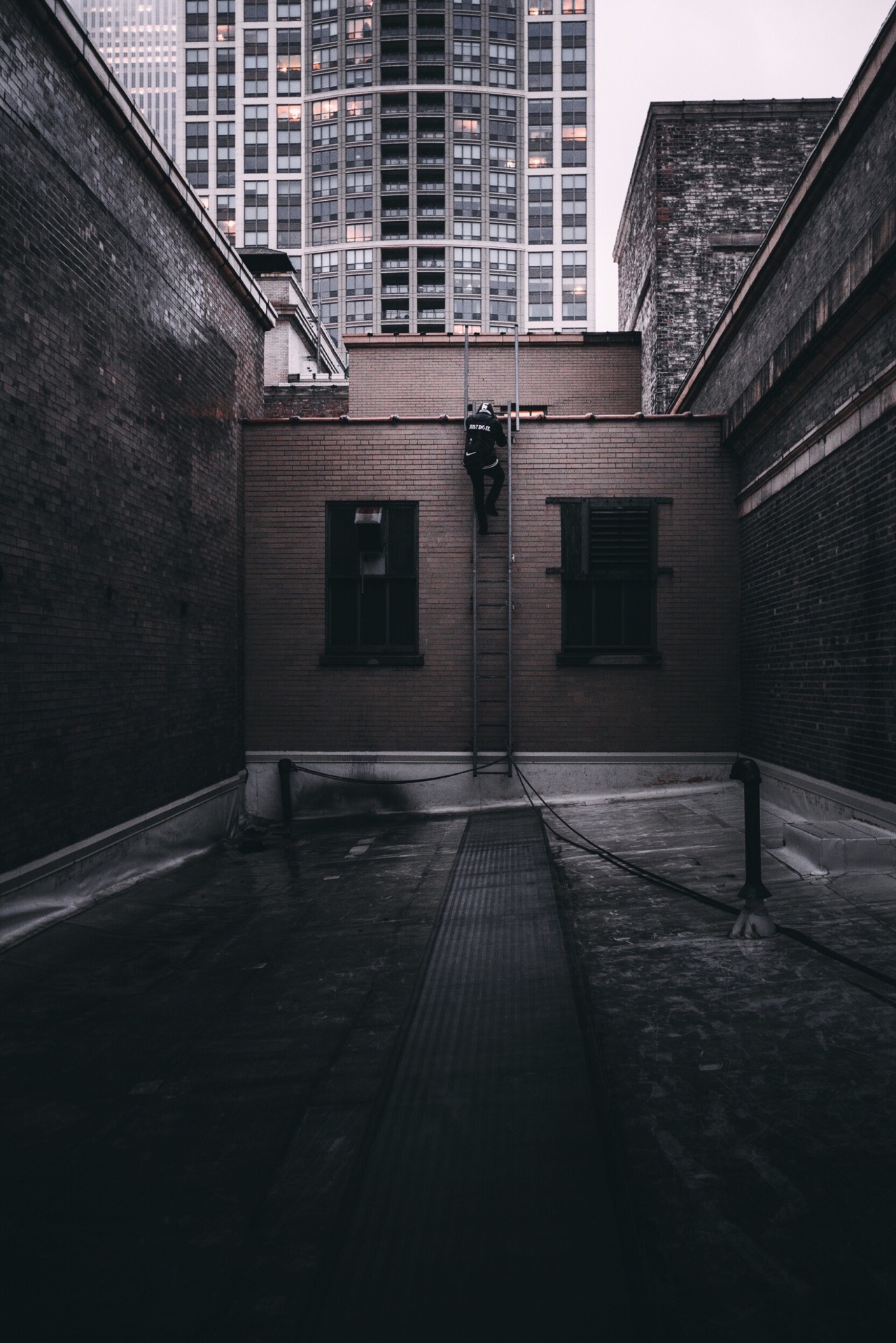 Archillect ID 351557