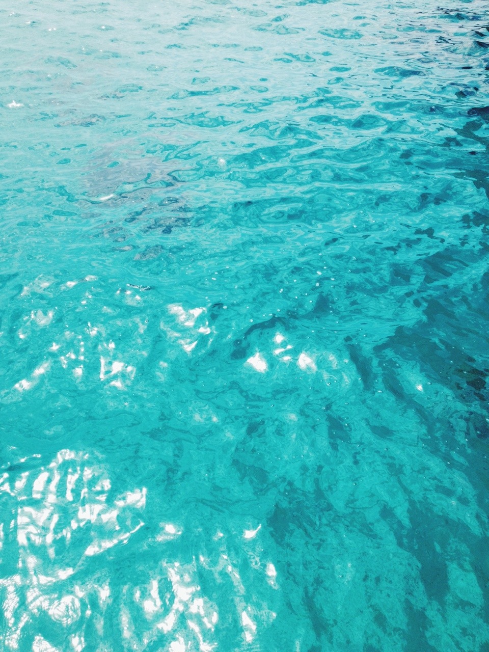 Archillect ID 351641