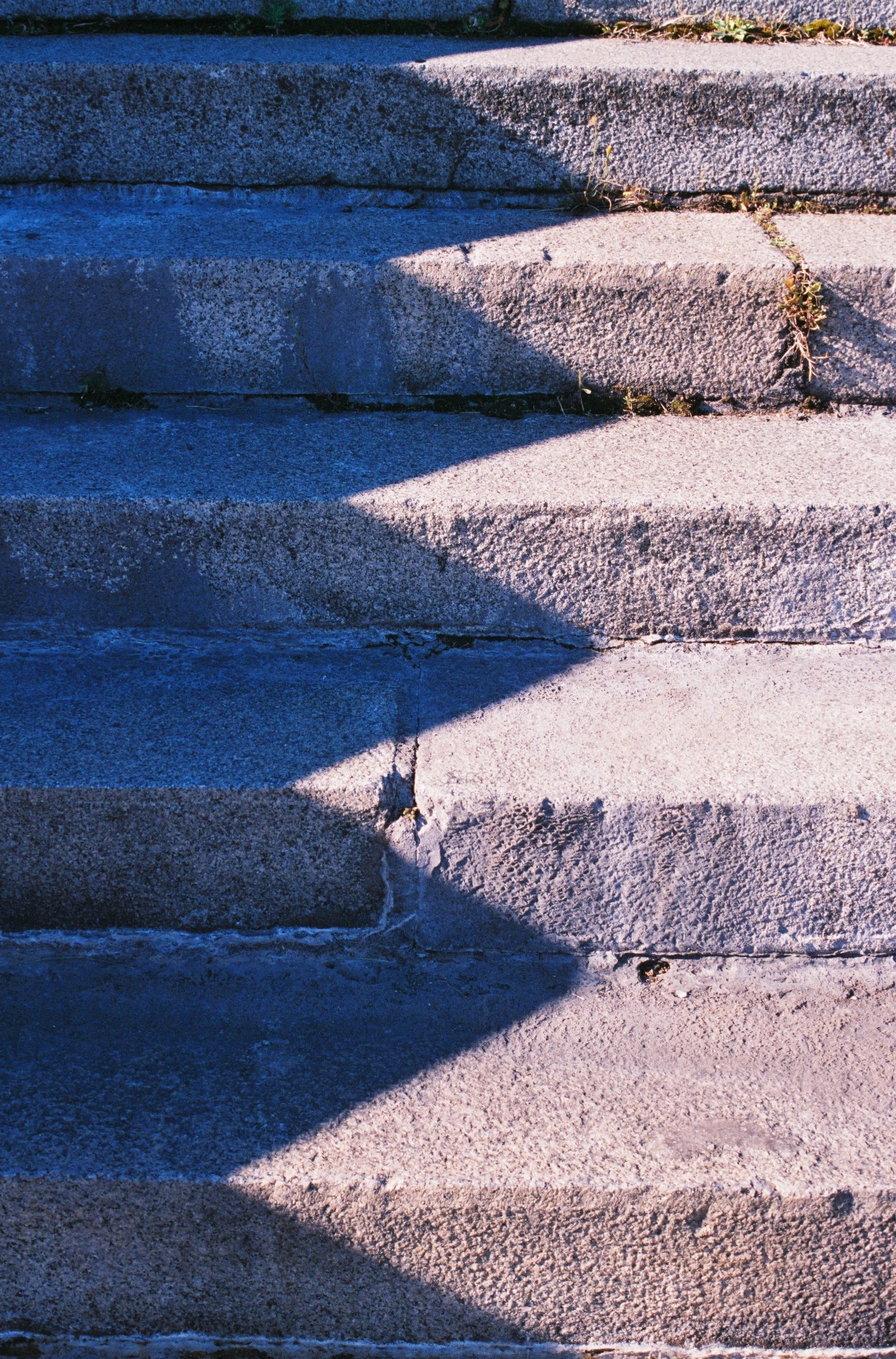 Archillect ID 351669
