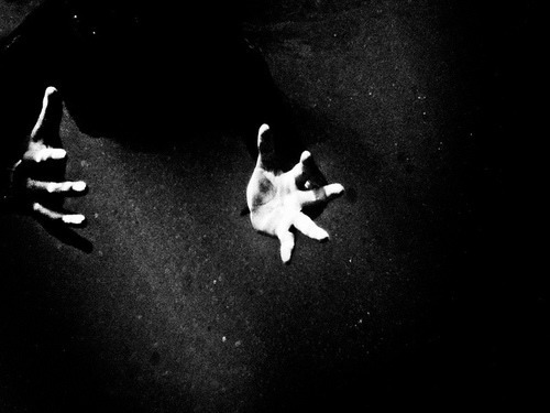Archillect ID 351801