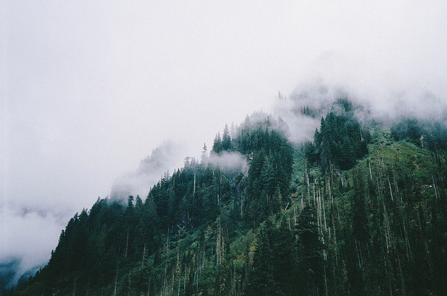 Archillect ID 351850