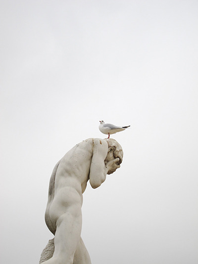 Archillect ID 351851