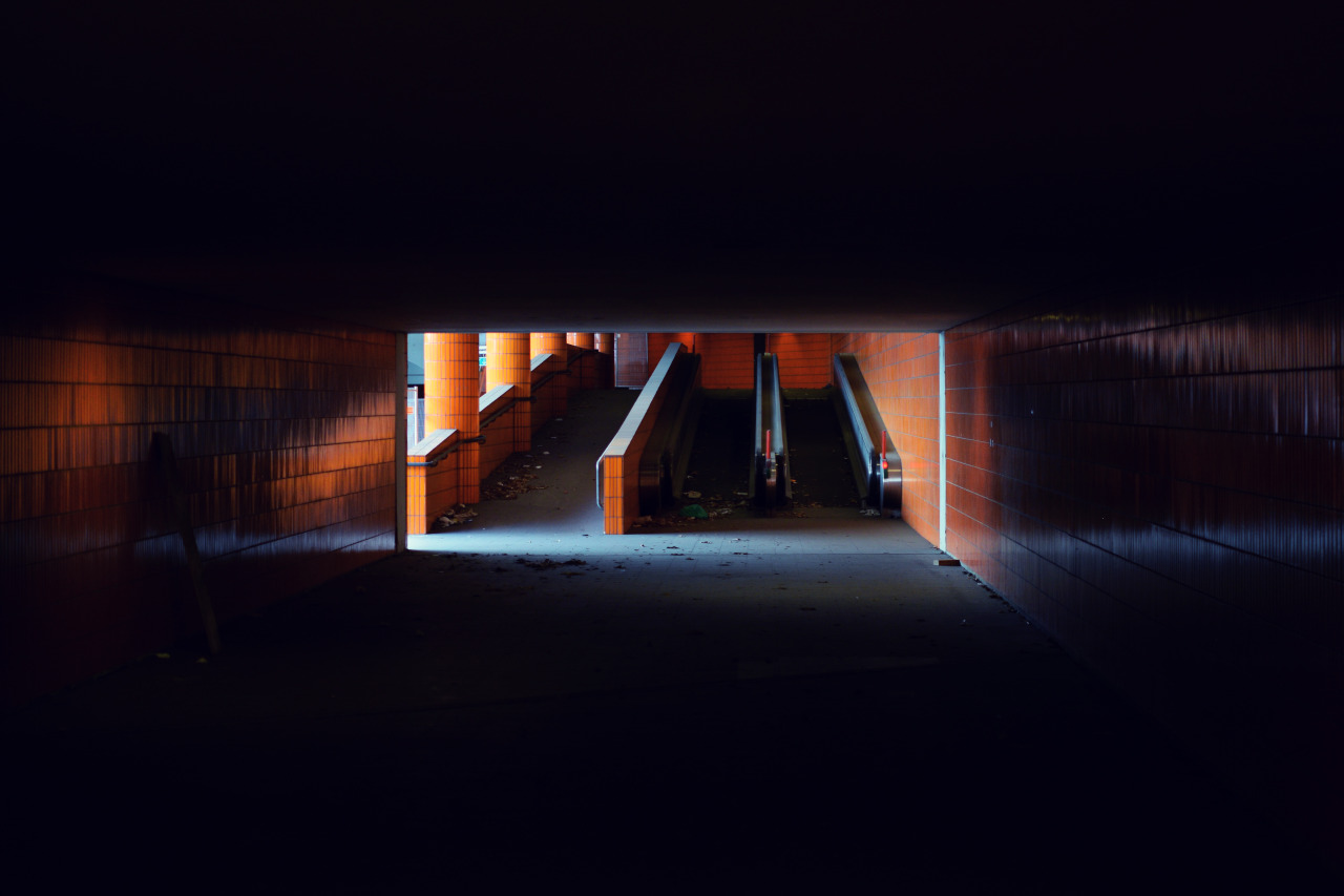 Archillect ID 352406
