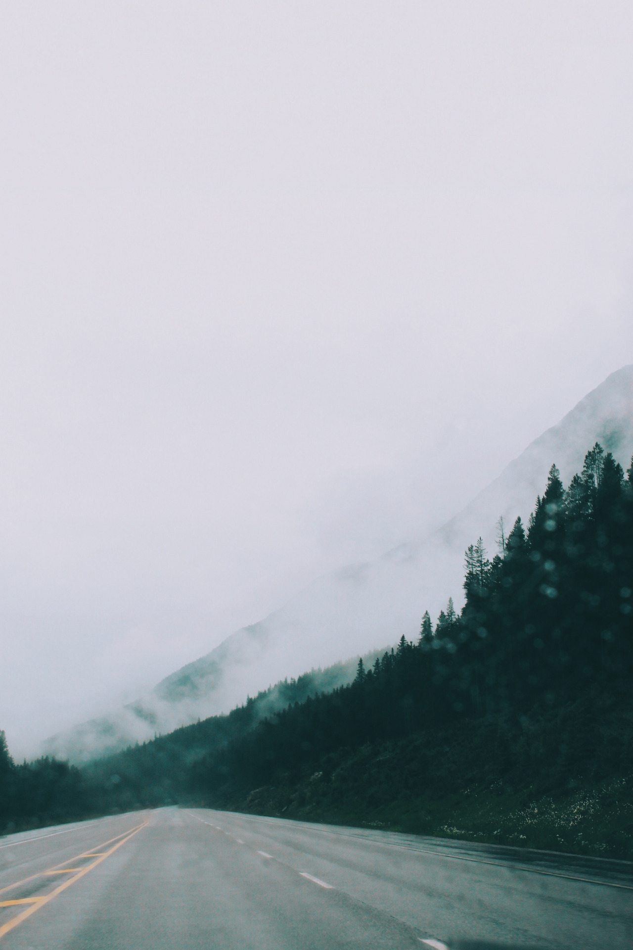 Archillect ID 352501
