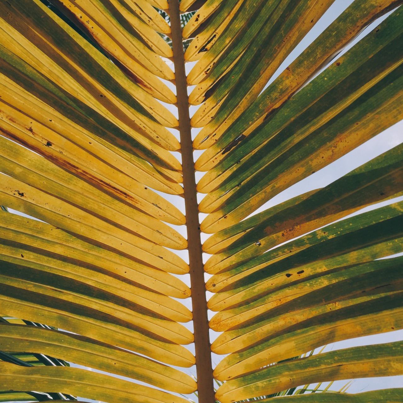 Archillect ID 352722