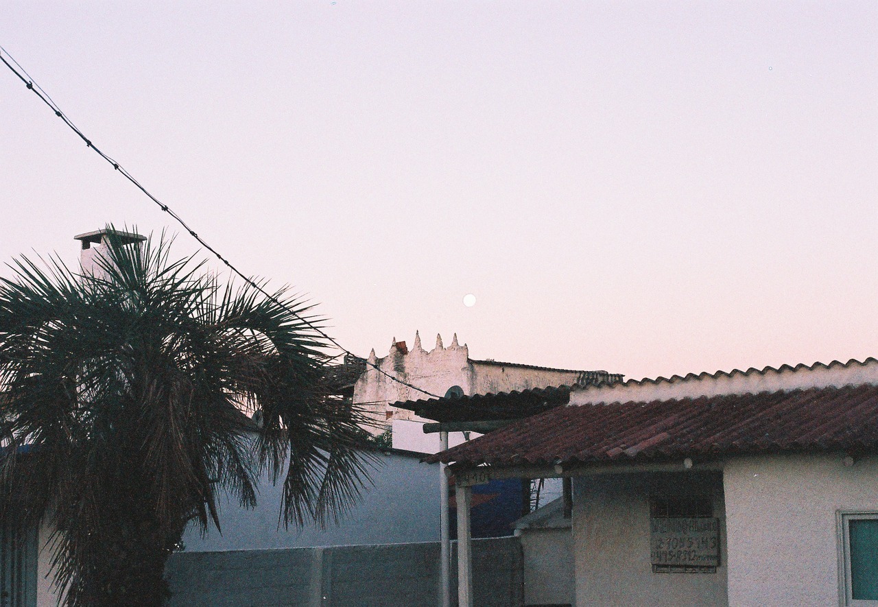Archillect ID 352801