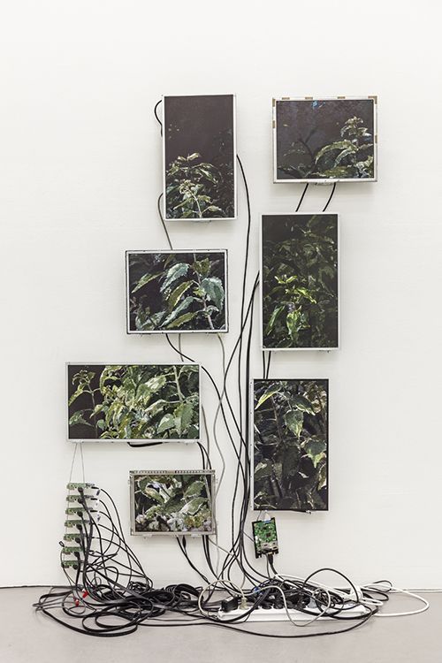 Archillect ID 353018