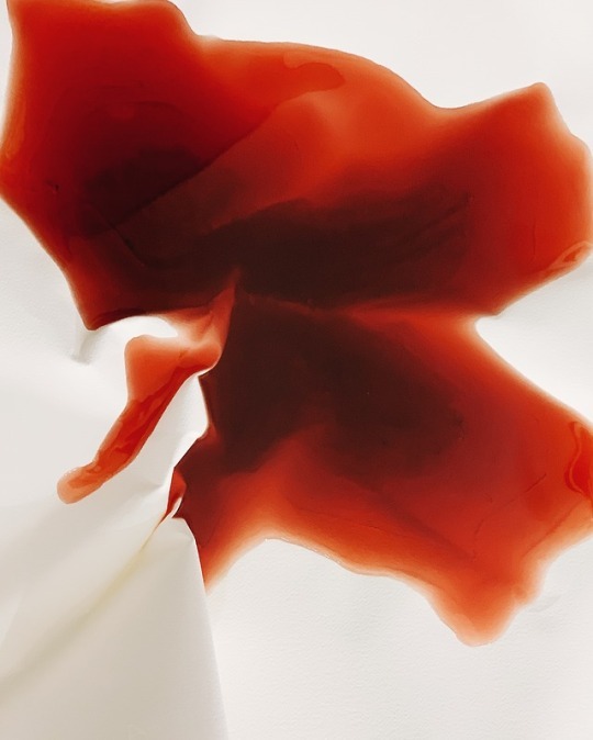 Archillect ID 353145