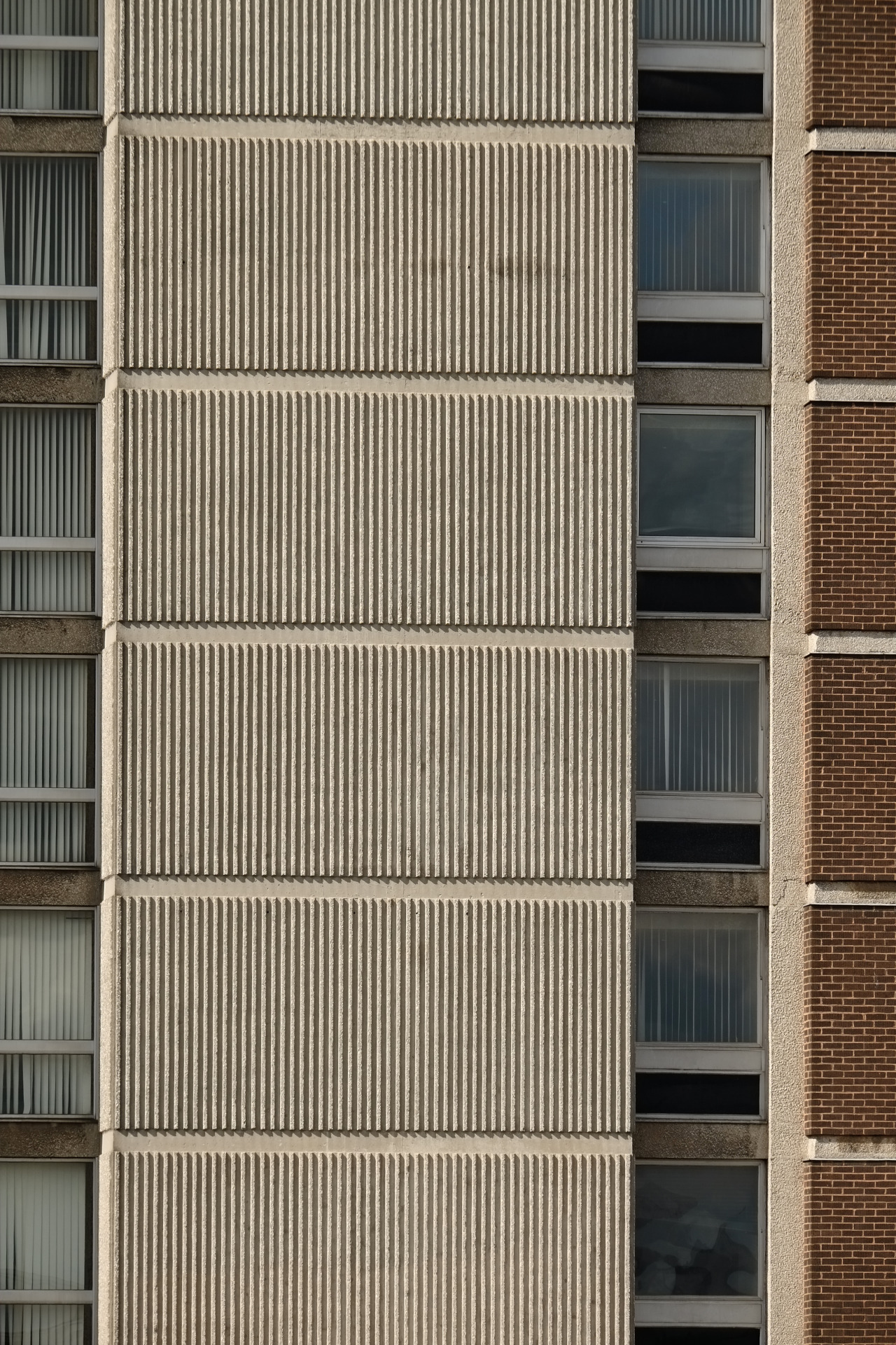 Archillect ID 353530