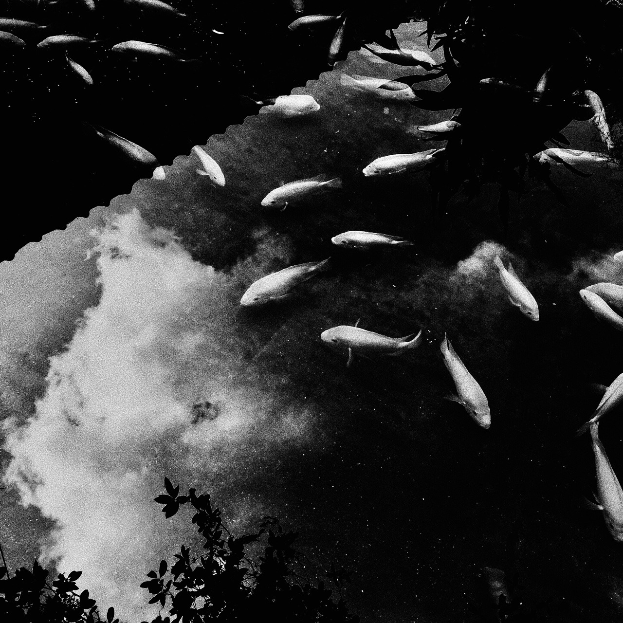 Archillect ID 353681
