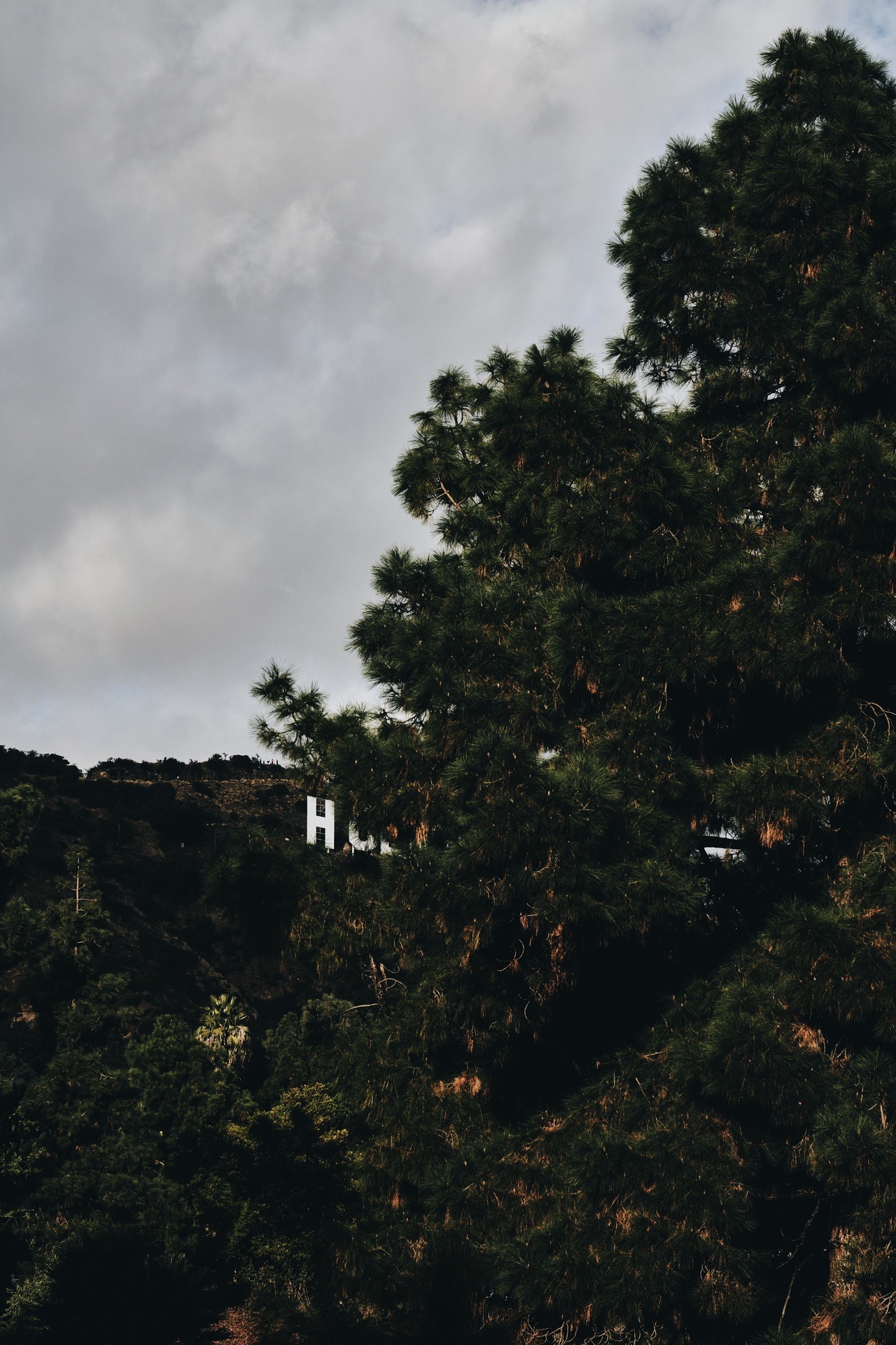 Archillect ID 354144