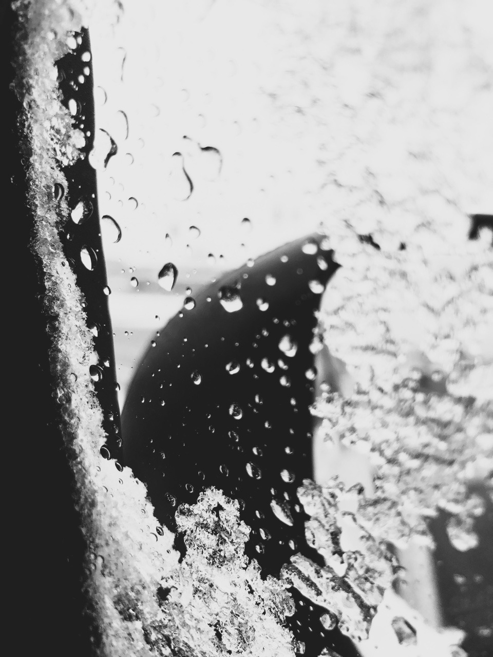 Archillect ID 354479