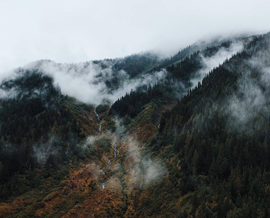 Archillect ID 354608