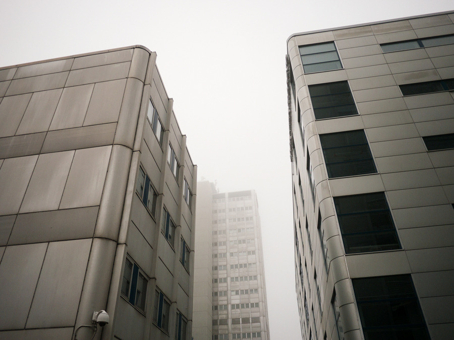 Archillect ID 354611