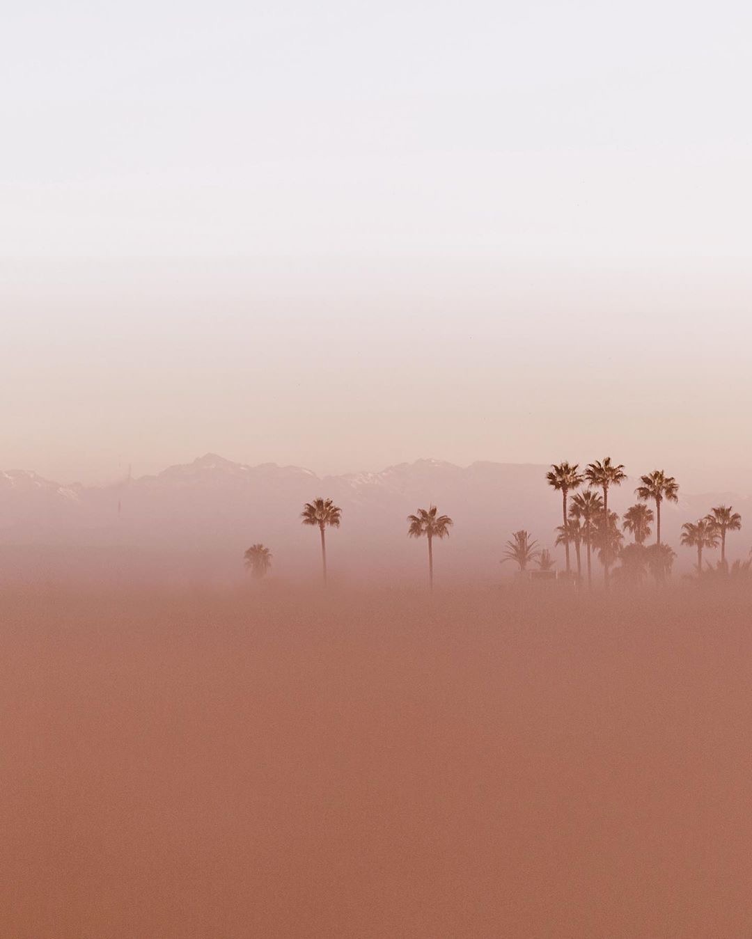 Archillect ID 355027