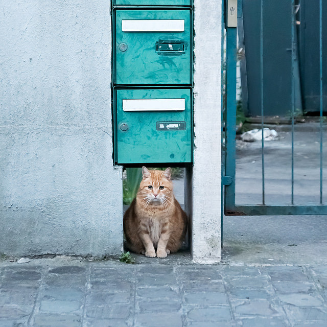 Archillect ID 355079