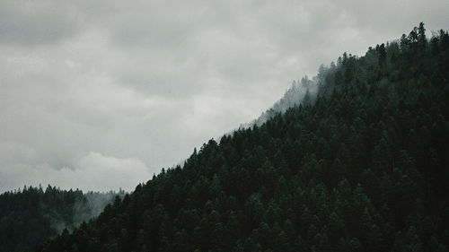 Archillect ID 355674
