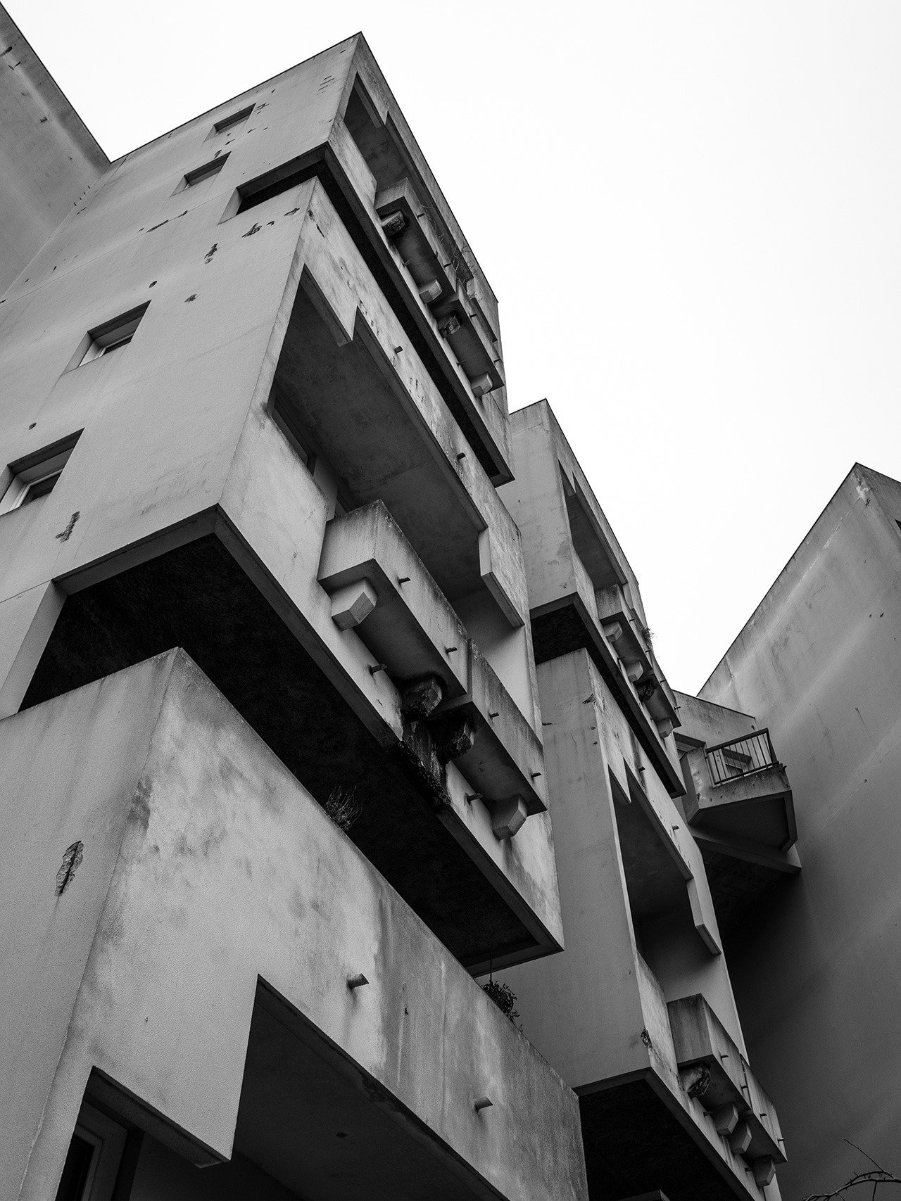 Archillect ID 355793