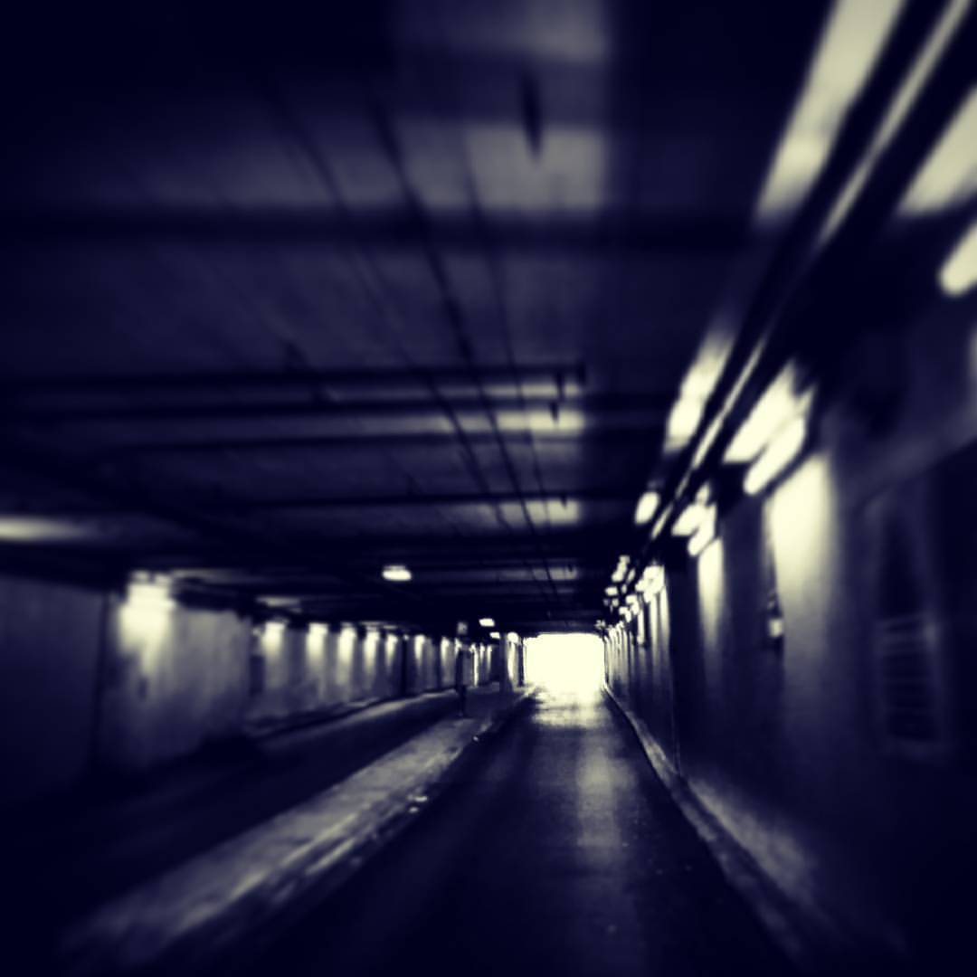Archillect ID 356100
