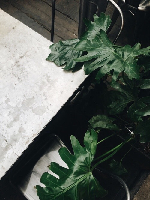 Archillect ID 356289
