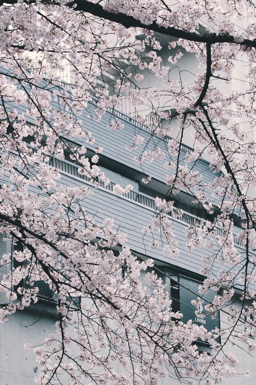 Archillect ID 356716