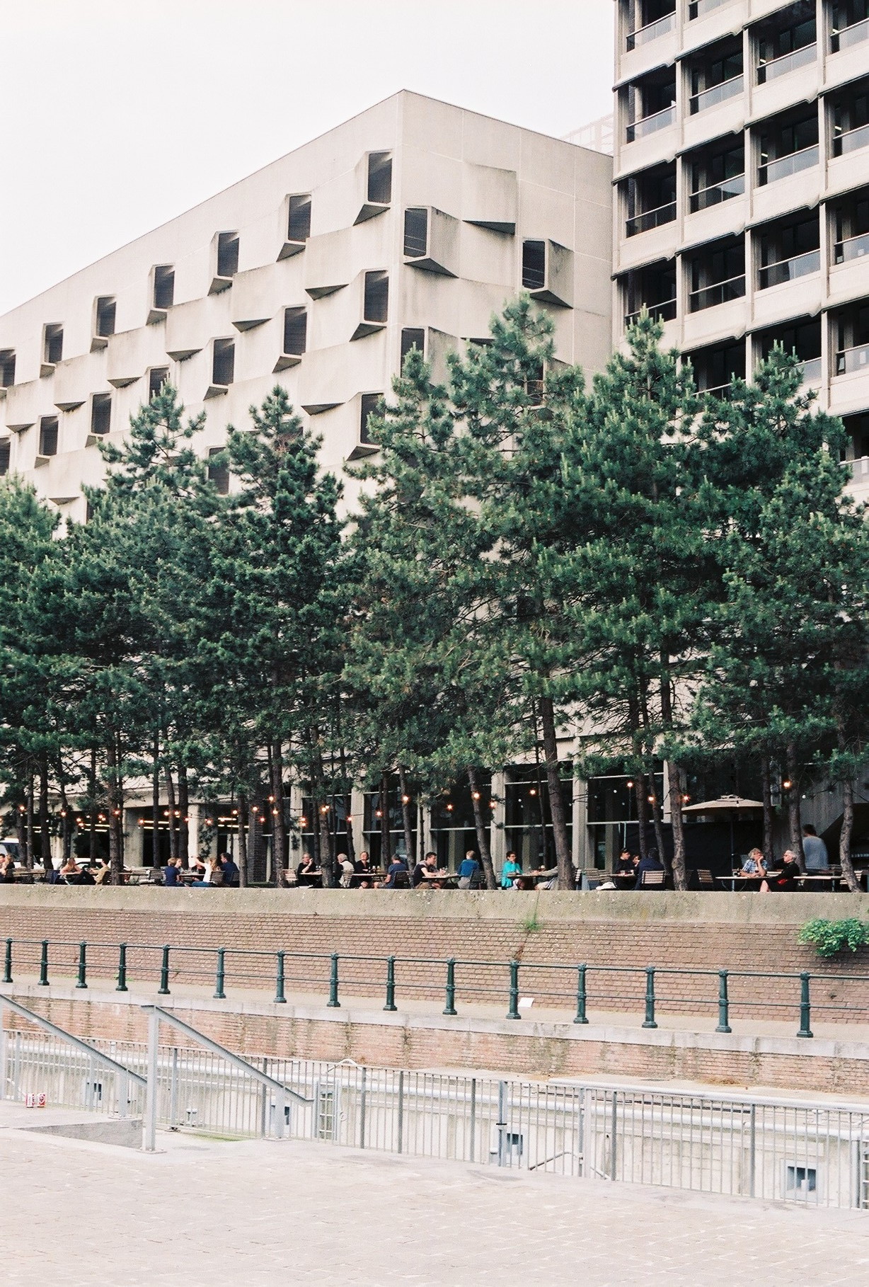 Archillect ID 356919