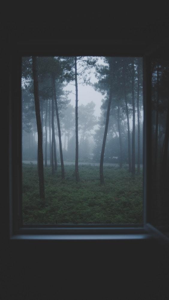 Archillect ID 357014
