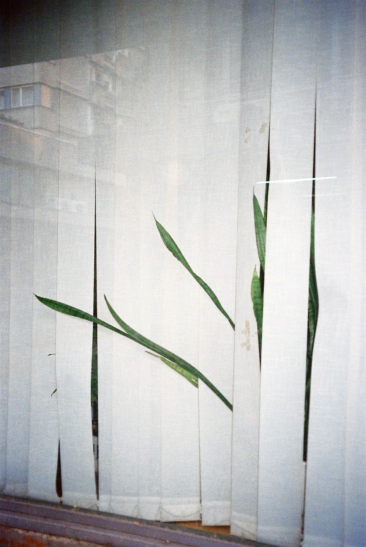 Archillect ID 357141