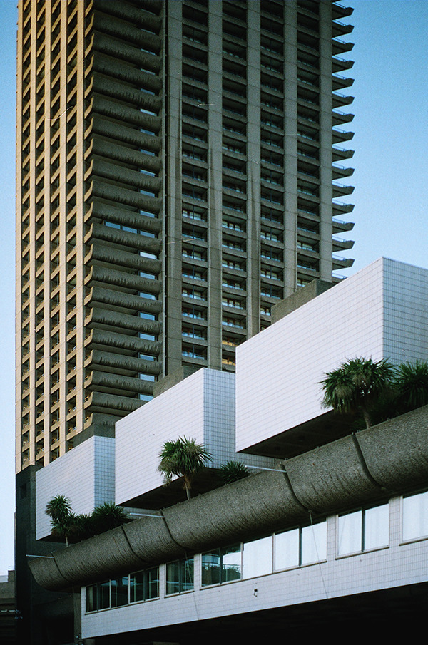 Archillect ID 357159